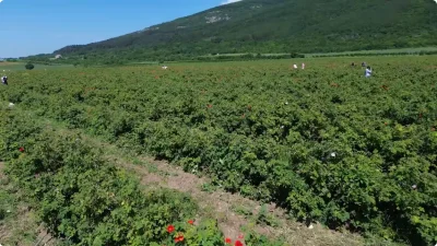 Долината на розите гр. Казанлък